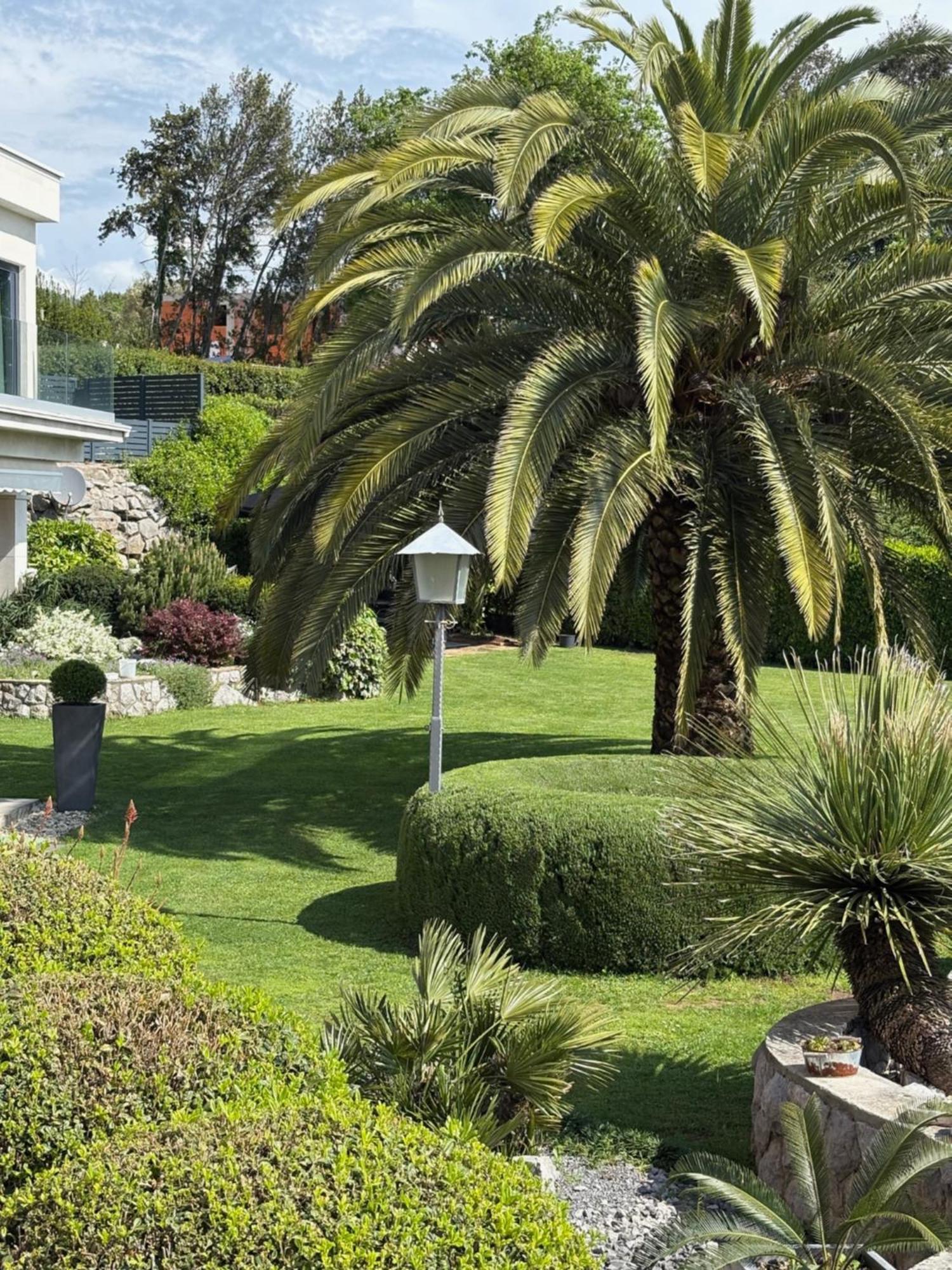 Bed And Breakfast Villa Iris Mošćenička Draga 외부 사진