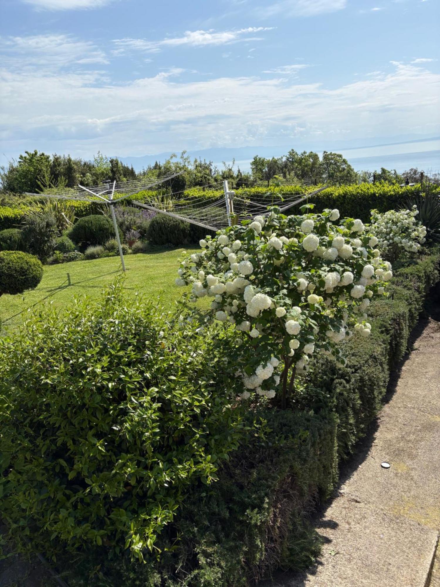 Bed And Breakfast Villa Iris Mošćenička Draga 외부 사진