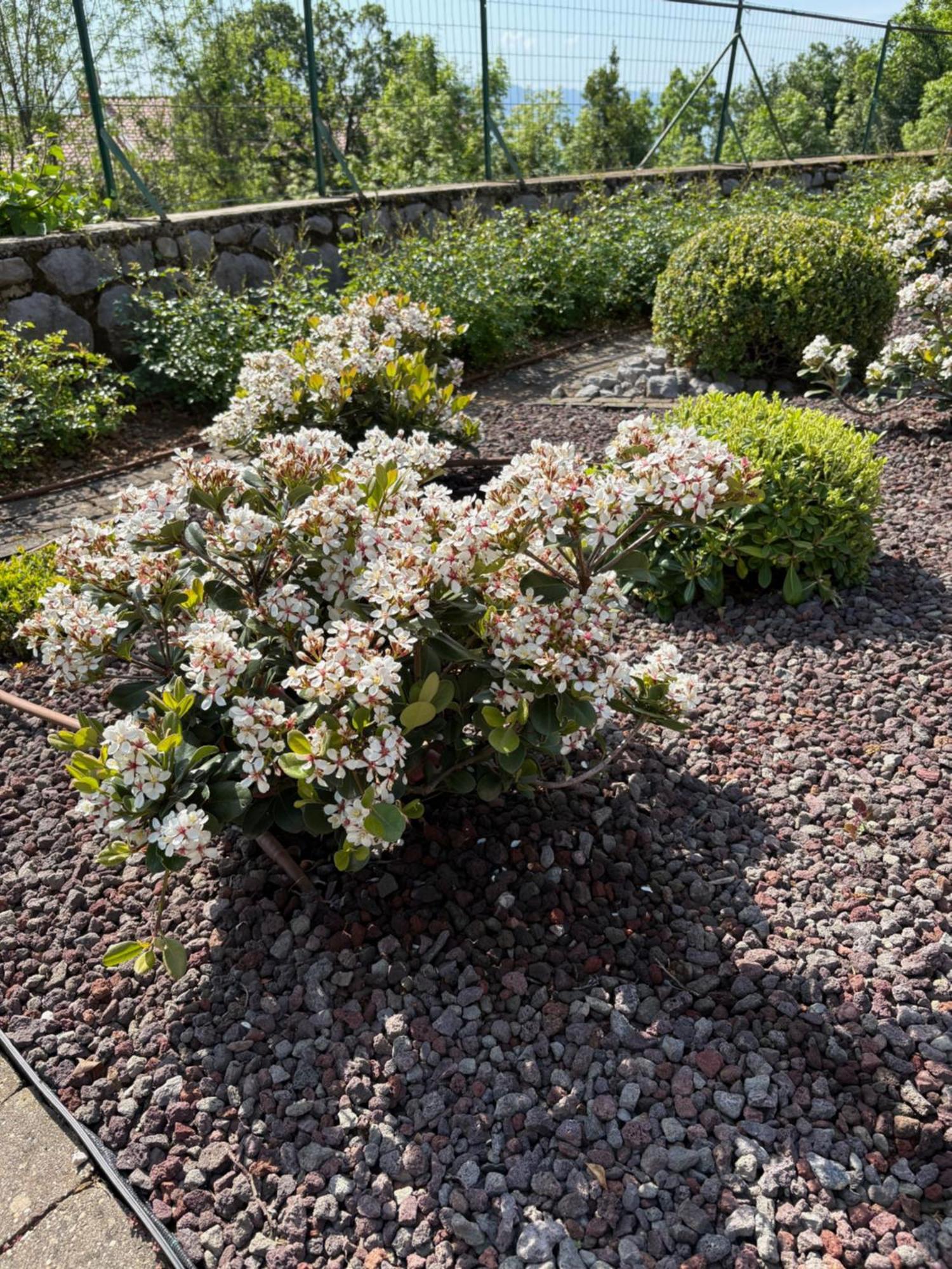 Bed And Breakfast Villa Iris Mošćenička Draga 외부 사진
