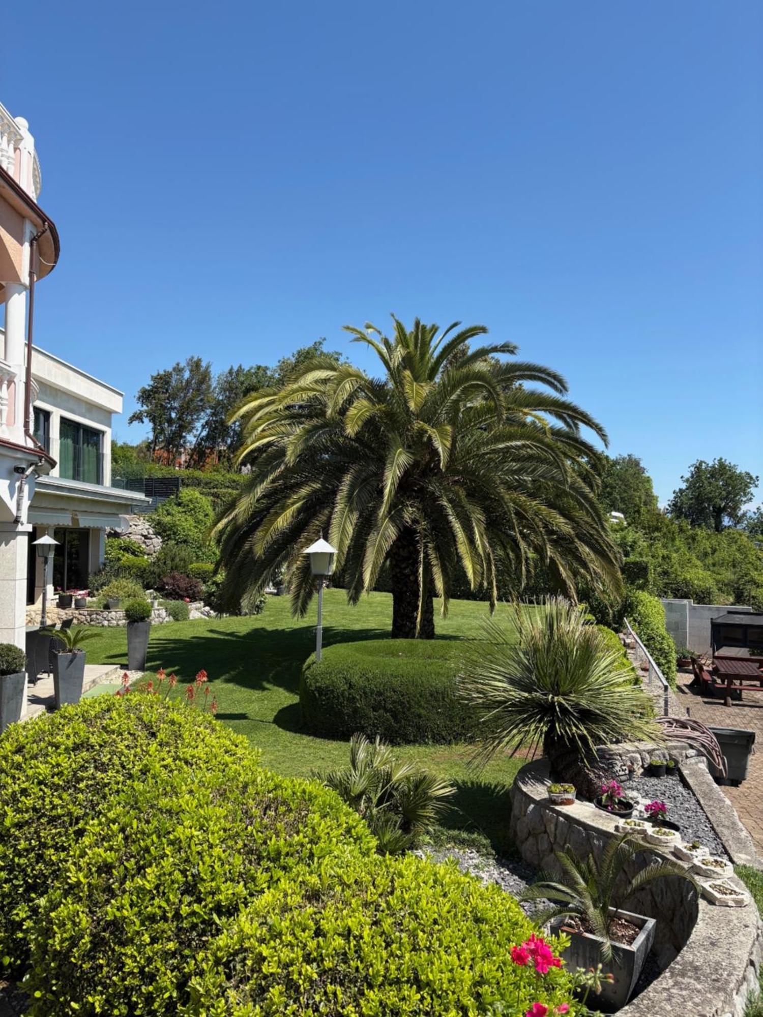 Bed And Breakfast Villa Iris Mošćenička Draga 외부 사진